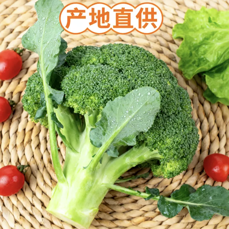 包邮新鲜西兰花苔当季甜杆蔬菜露天种植现摘现发