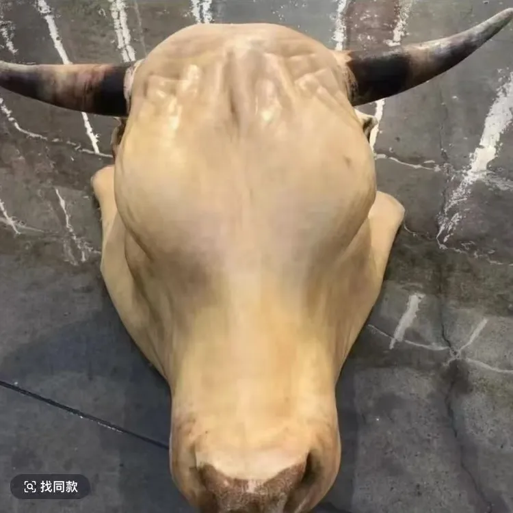 【25斤以下没有牛角】正宗河南南阳黄牛牛头（有特殊要求及时备注）