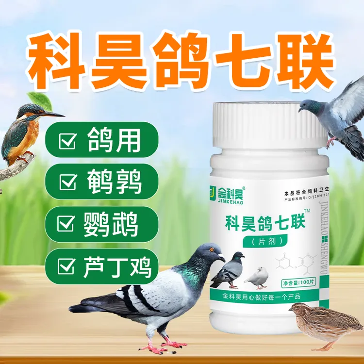 科昊鸽七联赛鸽肉鸽信鸽幼鸽鸽子鸽六联独抗片剂养鸽用饲料添加剂