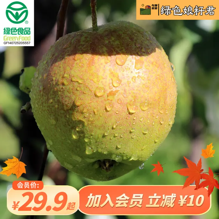 【红脸麻/皇冠--绿色食品·2025年秋季鲜梨】4.5斤以上到手9颗梨