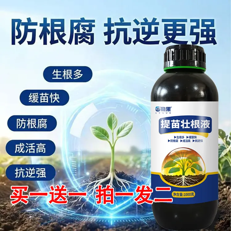 育苗移栽定植 根多苗壮成活高生根壮苗控旺长商品图