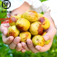 【冬枣】山东沾化的冬枣当季新鲜大枣脆甜多汁3斤S