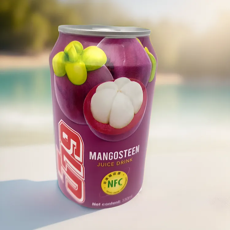 越南进口果汁饮料山竹味330ml芒果青柠檬刺番荔枝人参果释迦果味