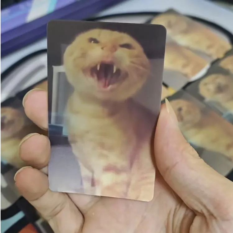 耄耋闪卡耄耋猫猫变换3D光栅卡幻影哈吉马圆头汽车装饰汽车摆件