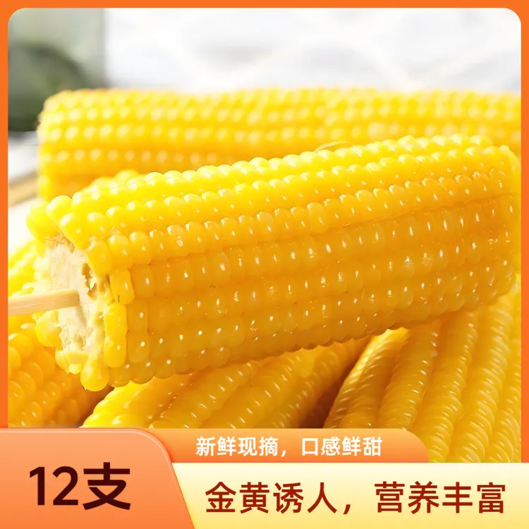 黄玉米12支/箱净重4.4斤真空包装25年头茬东北玉米软糯香粘
