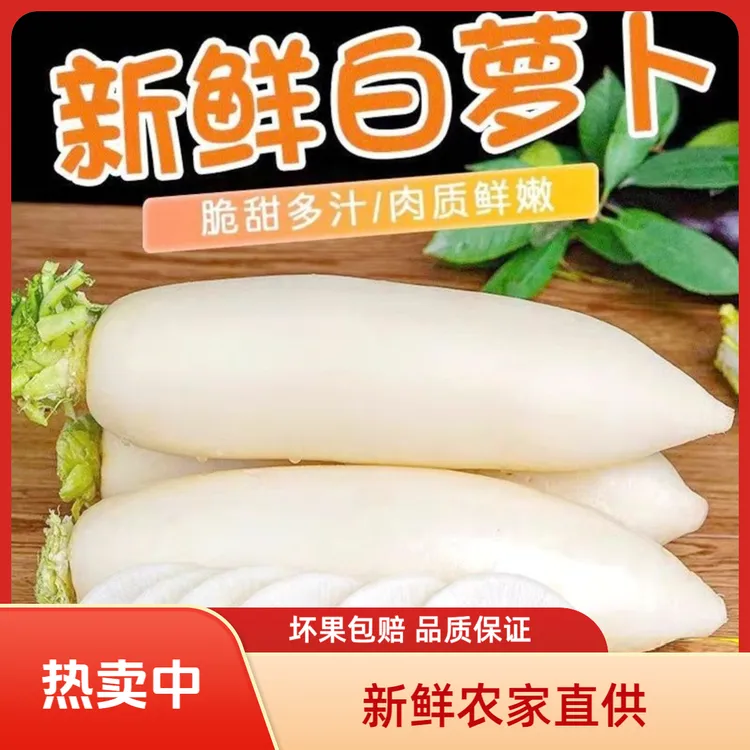 新鲜农家水洗白萝卜4.5-5斤