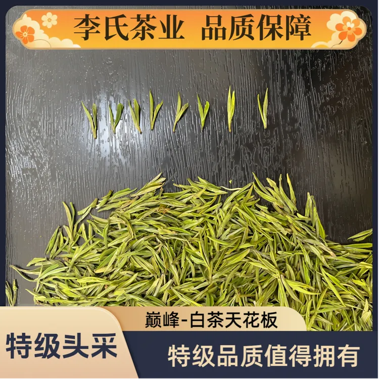 特级头采小芽安吉高山白茶   开园头采  明前茶 