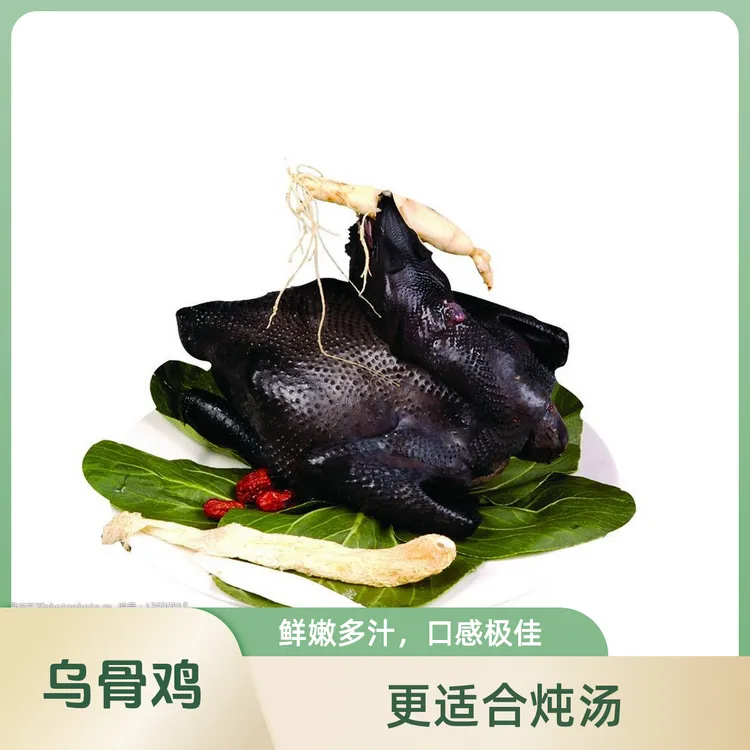 (乌骨鸡）杀好重约2斤（活鸡3斤多，带心肝）现杀现发货 更适合炖汤