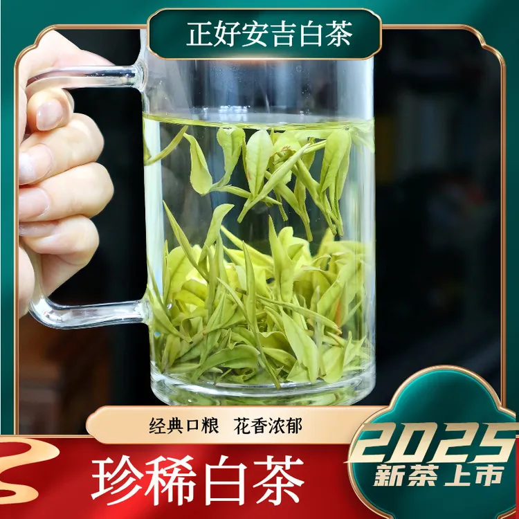 3号【珍稀白茶】2025年安吉白茶溪龙正好核心产区春季鲜爽回甘春茶