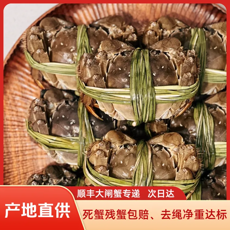 【活蟹】固城湖大闸蟹公4.5-4.2两母3.5-3.2两6~12只公母对半