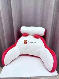 高颜值抱枕玩偶   LY