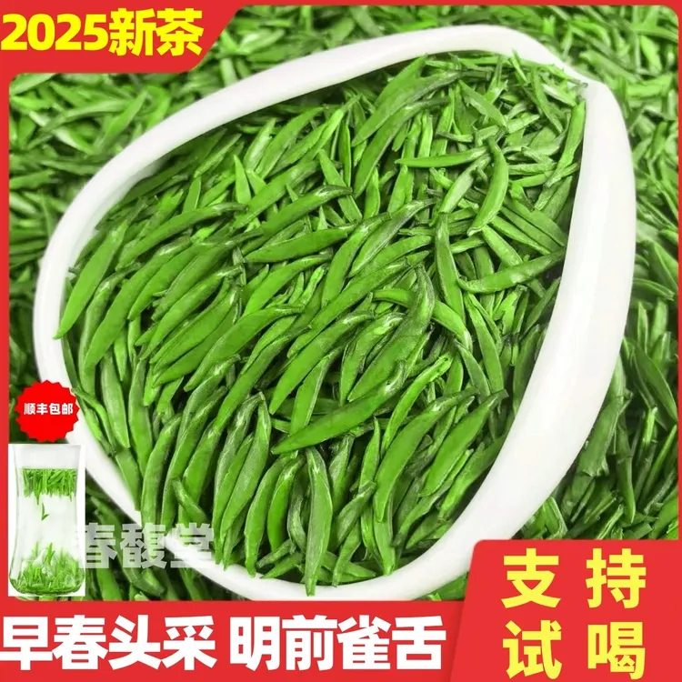 【正宗小米芽】2025新茶明前特级雀舌茶叶春茶贵州正宗雀舌茶叶雀舌
