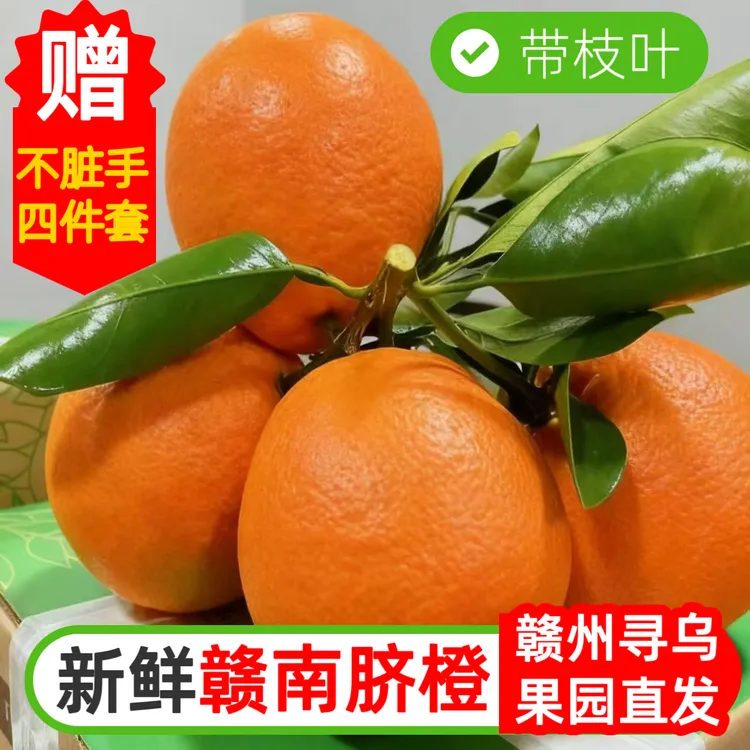 【高品质】正宗10斤寻乌赣南脐橙血橙果园直发橙应季新鲜现摘现发