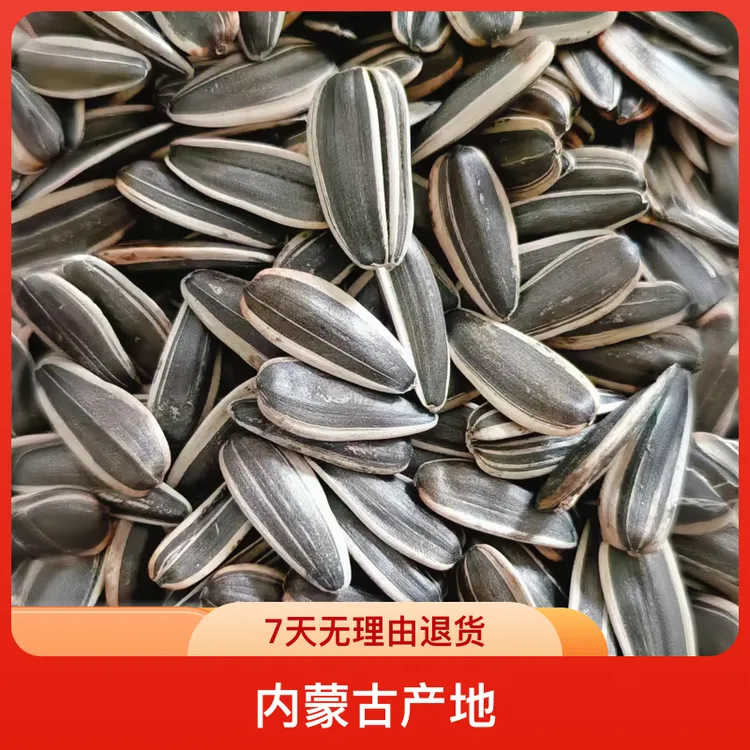 【熟瓜子】内蒙古产地大粒原味葵花籽休闲零食500g*2