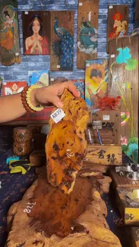 枣木干泡台枣木枣木