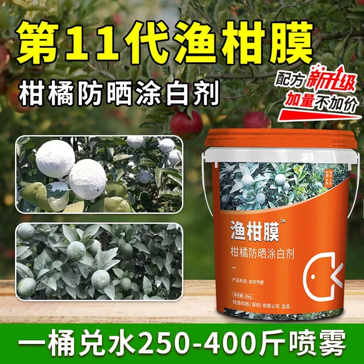 渔柑膜柑橘防晒涂白剂升级预防太阳果补钙防病虫飞防喷雾均可使用