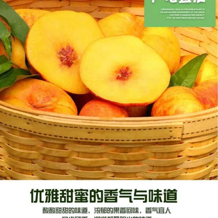 蒙阴蜜桃彩虹油蟠桃黄金油蟠桃纽扣黄油蟠桃珍珠黄油蟠桃2斤/3斤