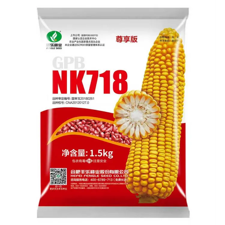 NK718高产新升级正品抗倒伏抗病抗虫耐旱耐涝大马牙玉米种子