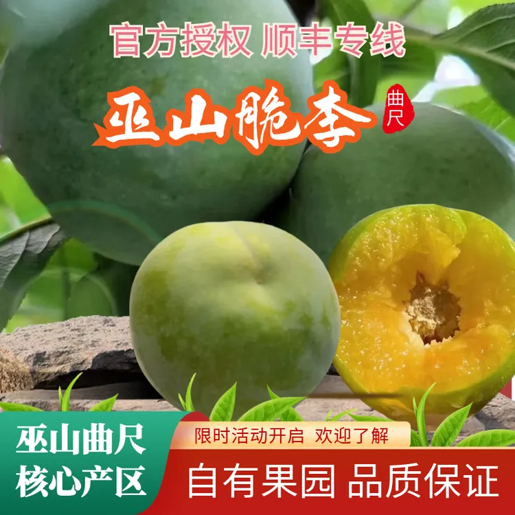 巫山脆李正宗巫山脆李 官方授权 自家果园 产地直发