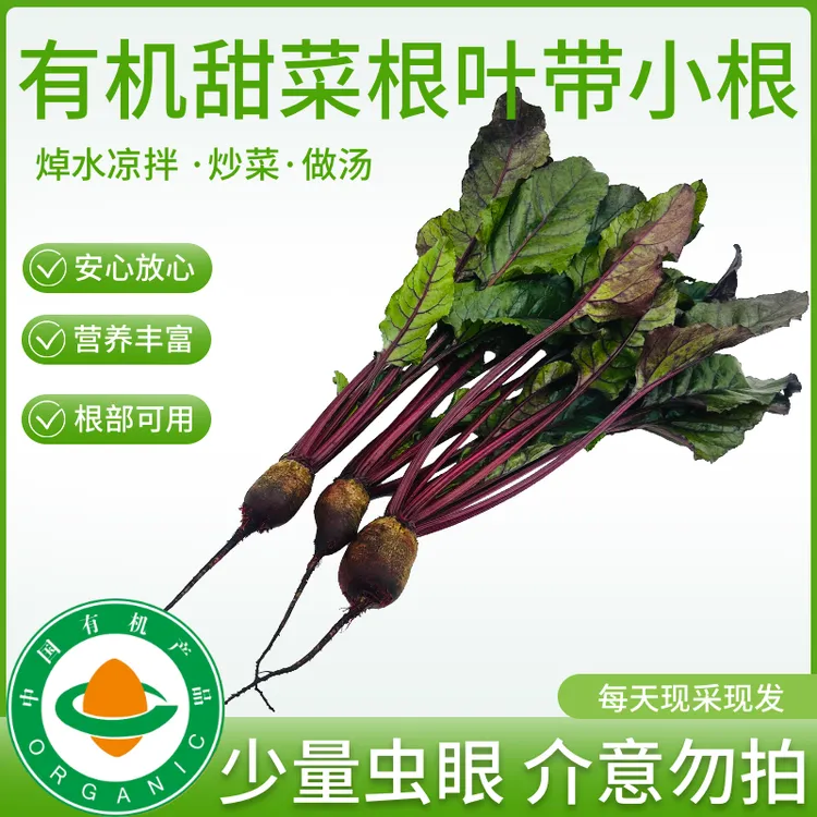 有机甜菜叶带小根发货根部可食用营养丰富焯水凉拌炒菜烧汤 3斤装