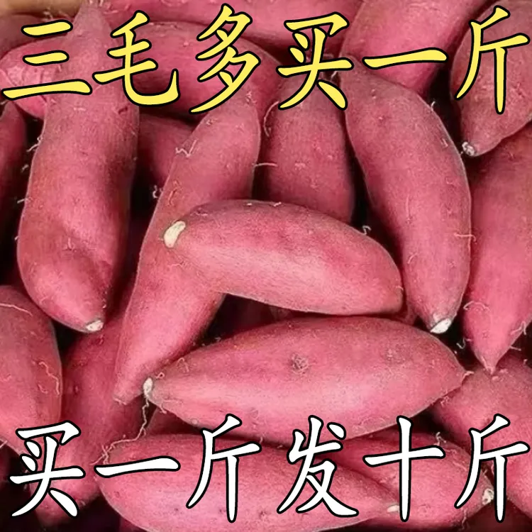 【新鲜现挖】超甜沙地蜜薯1/9斤黄心红薯地瓜红苕龙九番薯蔬菜水果