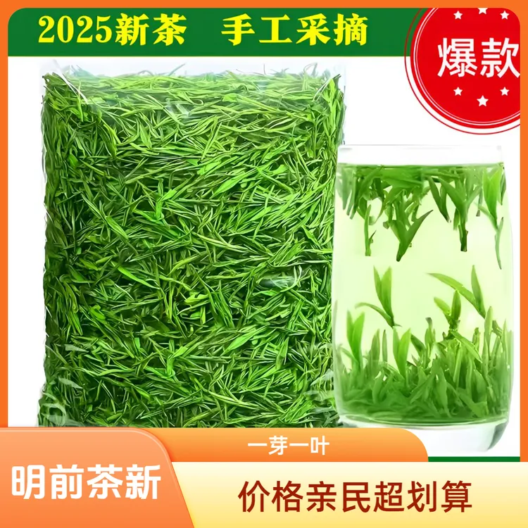 新茶2025雀舌茶叶正宗明前特级绿茶嫩芽办公浓香型茶叶 一芽一叶