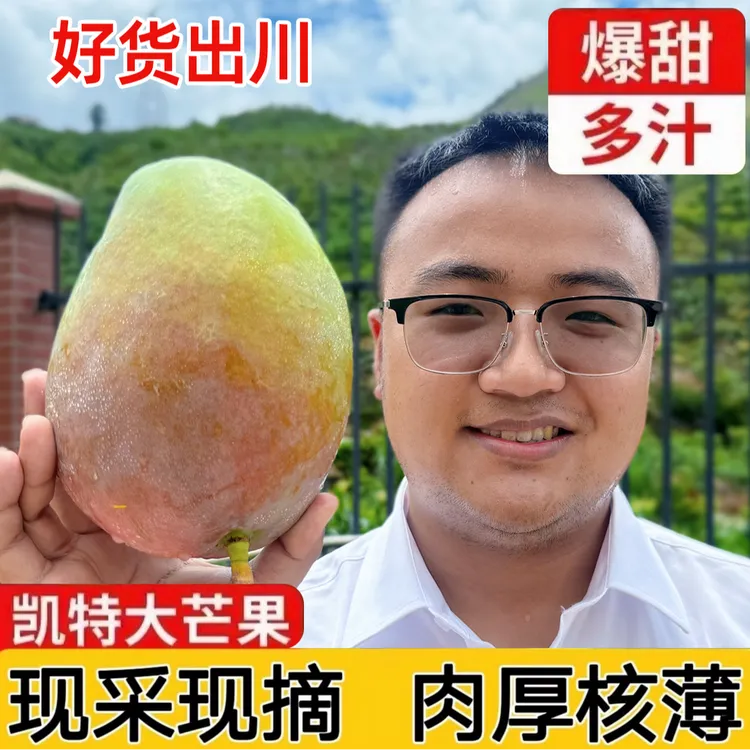 【好货·出川】四川攀枝花凯特大芒果大脸芒新鲜采摘3/5/8斤香甜多汁
