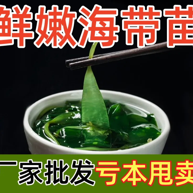 【直销】新鲜盐渍海带苗海带嫩苗凉拌菜火锅食材无添加商用批发