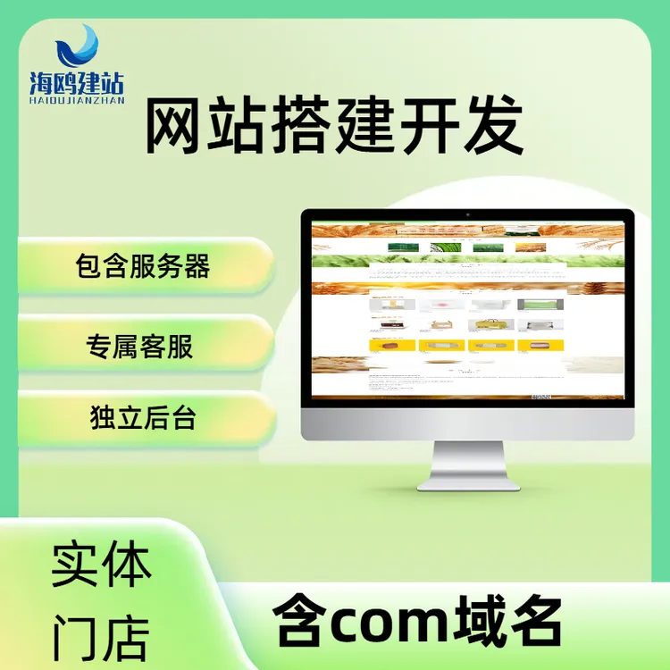 网站建设独立站搭建外贸建站企业官网商城开发制作优化