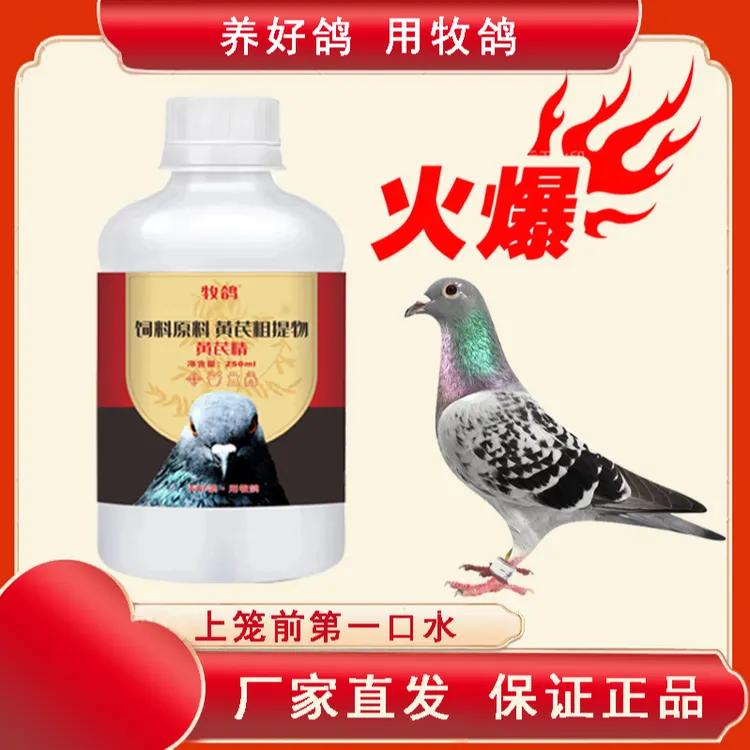 牧鸽黄芪精 黄芪粗取 饲料 补气血 抗应激 抗病毒 提高鸽子抵抗力