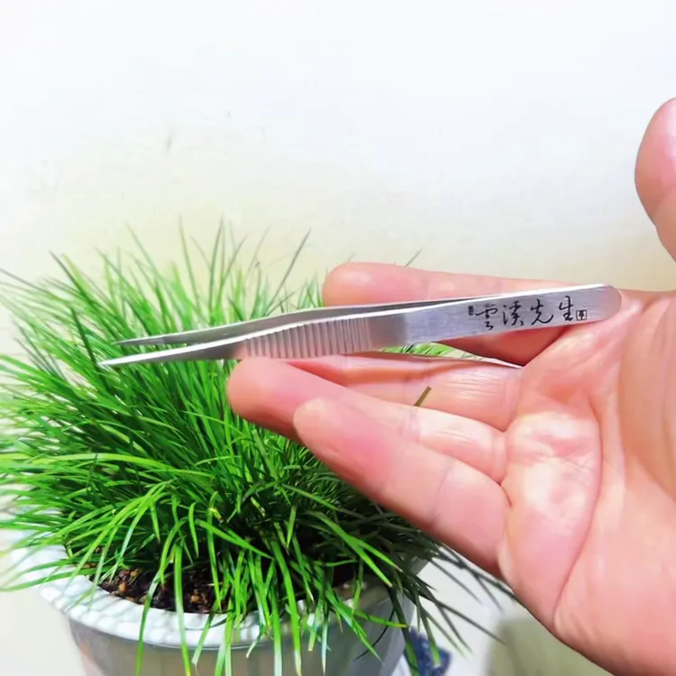 【云溪先生贰】菖蒲剃黄镊子踢黄摘叶镊子园艺修剪夹子盆景菖蒲专用