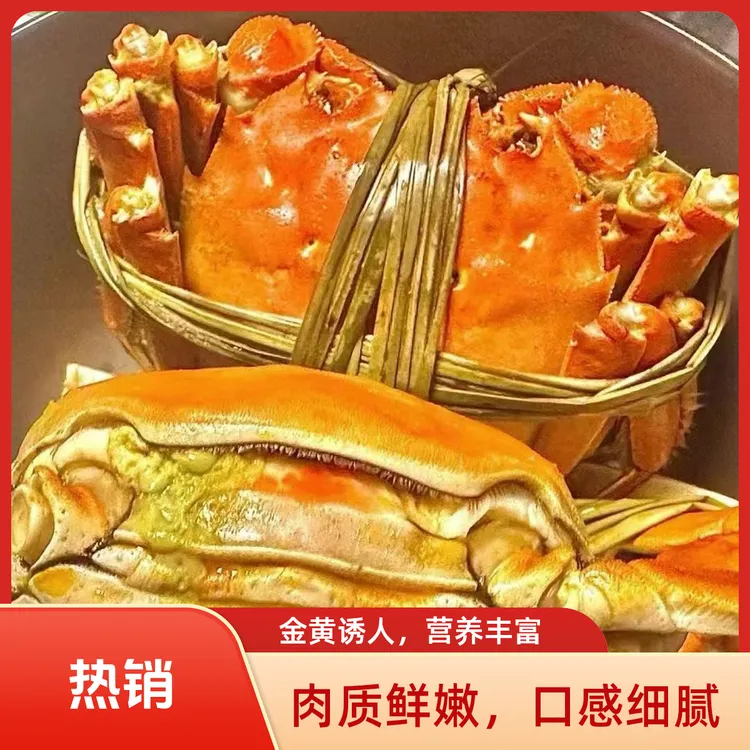 【活蟹】大闸蟹 现货鲜活 公母（公3两  母2.5两）12只 顺丰