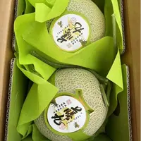 《农人老三》藤丸网纹瓜礼盒一箱2粒哈密瓜 顺丰包邮g海南省