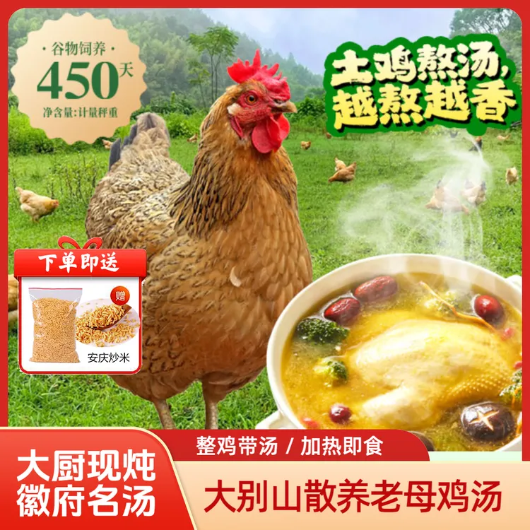【1只装老鸡汤】大别山农家散养老母鸡，文火慢炖|加热即食【送炒米】