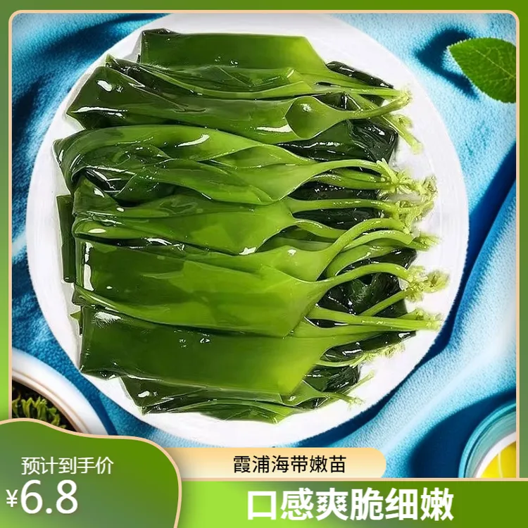 福建霞浦海带嫩苗无沙细嫩海带芽火锅麻辣烫凉拌菜食材烫三秒