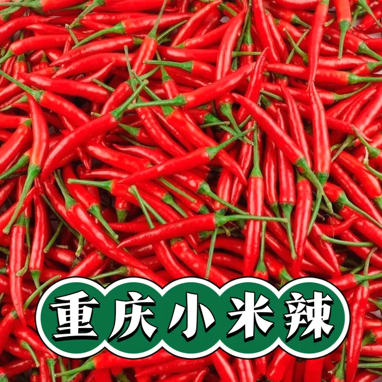 【朝天椒】重庆新鲜现摘特辣小米辣可用于餐饮调味的优质蔬菜辣椒