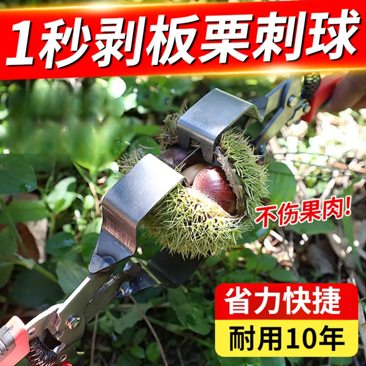 剥板栗刺球神器栗子外壳去皮毛夹脱蓬工具开口器省力拨板栗开壳器