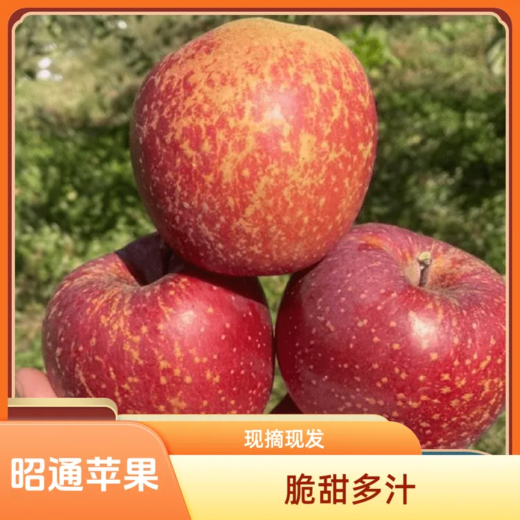 云南昭通脆甜正宗丑苹果新鲜采摘果味早期