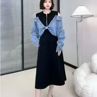 2025年春装拼接假两件胖MM连衣裙显瘦高级连衣裙气质洋气法式时尚