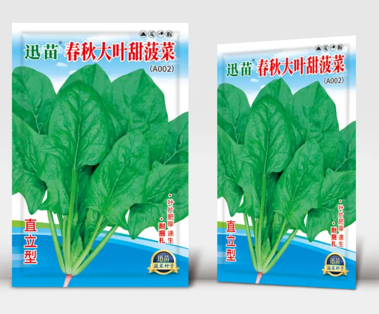 （全店满5元包邮）大叶菠菜种子四季蔬菜秋冬籽种阳台种子蔬菜种子