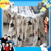 多功能毛毯盖毯牛奶绒毛毯（颜色随机）