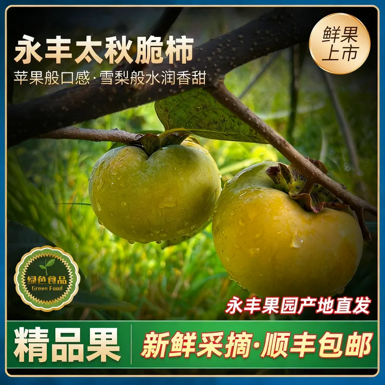 太秋脆柿子0涩感脆甜多汁当季水果鲜果香甜可口削皮即食现摘发货