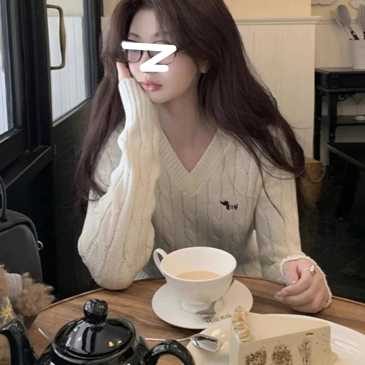 老钱风小狗刺绣v领毛衣女早秋复古外穿春秋内搭显瘦打底针织衫