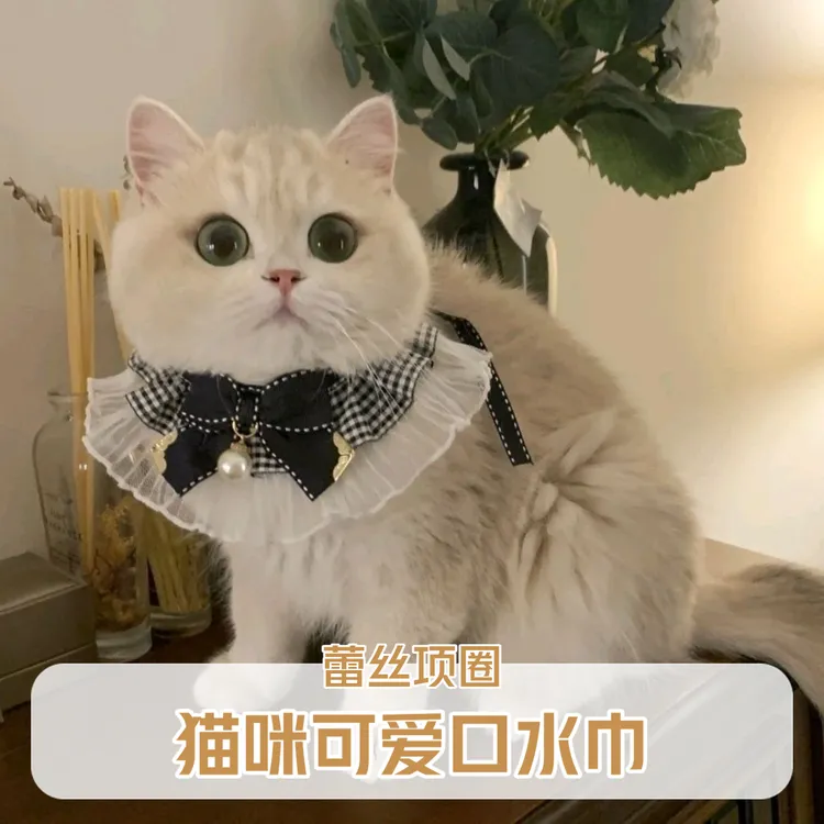 可爱结仙女项圈猫咪口水巾公主风蕾丝项圈铃铛项链围兜宠物装饰品