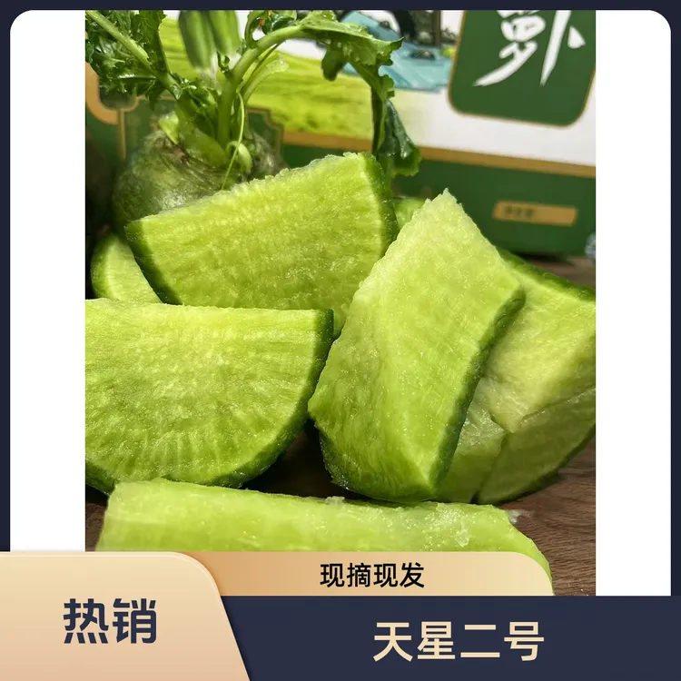 天星二号沙窝水果萝卜新鲜现拔现发生吃脆甜多汁口感清甜顺丰包邮
