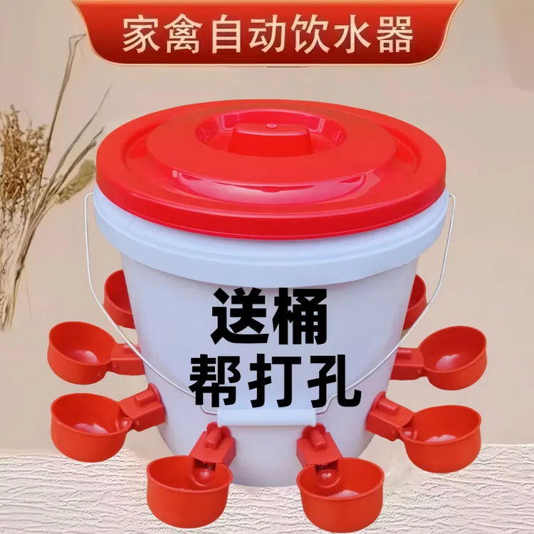 家禽养殖小鸡鸽子自动饮水碗饮水器鸽用自动喝水饮水碗鹌鹑鸡水槽