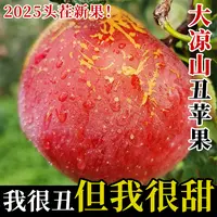 四川大凉山丑苹果冰糖心脆甜多汁新鲜现摘水果