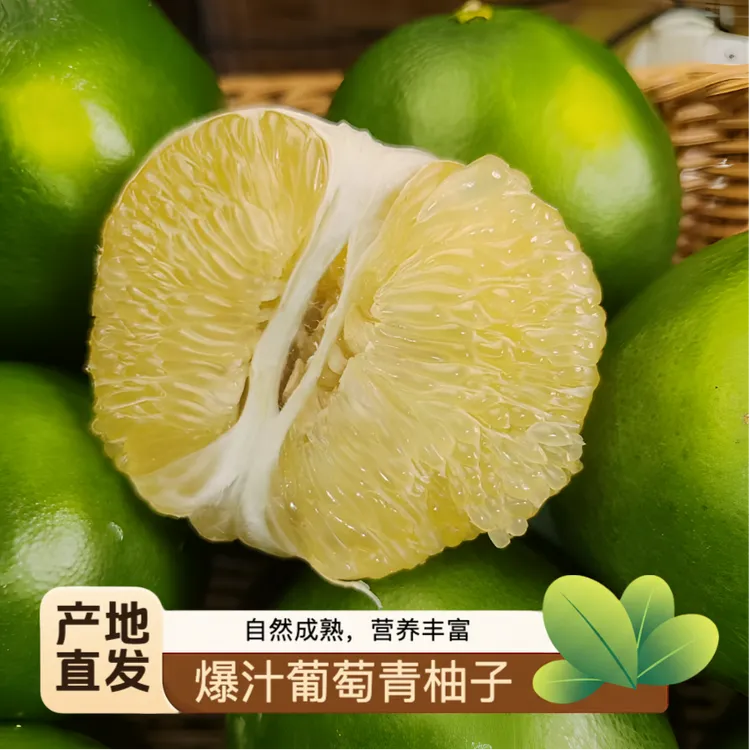 福建爆汁葡萄青柚青皮蜜柚葡萄柚翡翠青柚生态恐龙蛋绿宝石青柚子