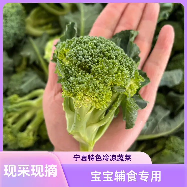 【儿童辅食专用】现采现摘宁夏西兰苔头