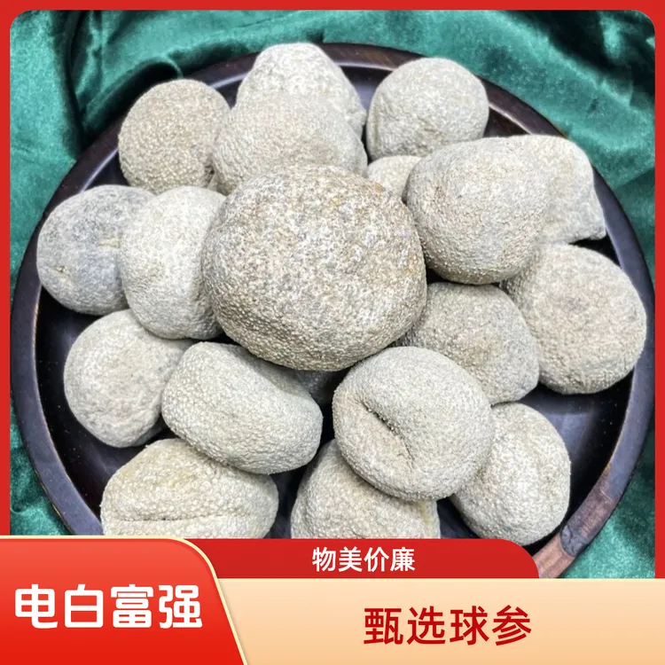 广东热卖 越南球参印尼球参乌园球参淡干海参干货酒店食材海参